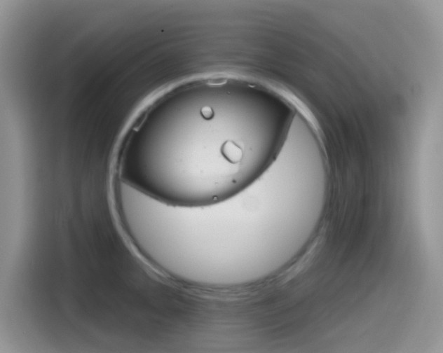 X0000114441093200910161047