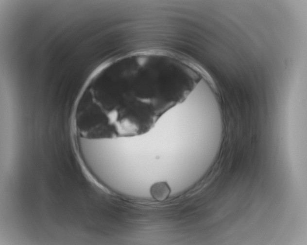 X0000114441095200910161047