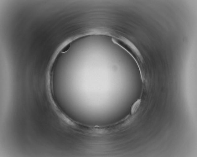 X0000114441096200910161047