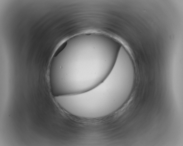 X0000114441097200910161047