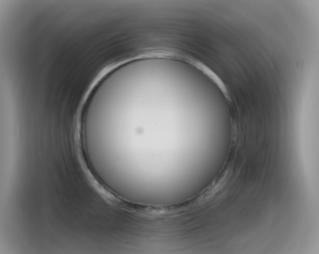 X0000114441099200910161047
