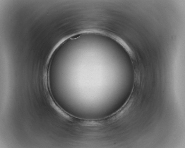 X0000114441100200910161047