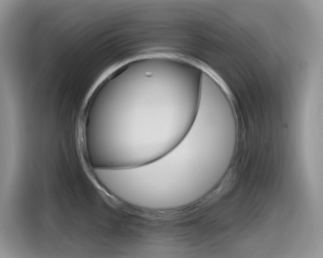 X0000114441101200910161047