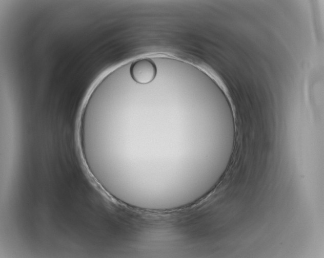 X0000114441104200910161047