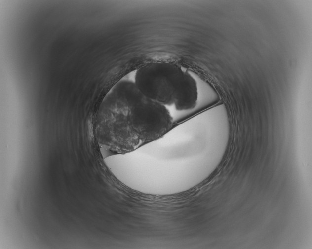 X0000114441106200910161046
