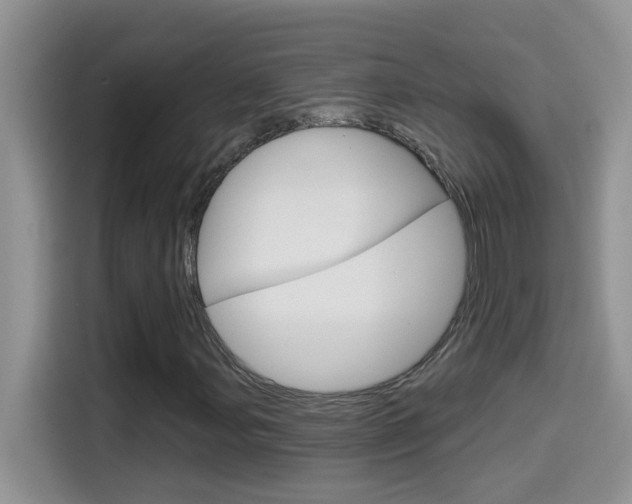 X0000114441107200910161046