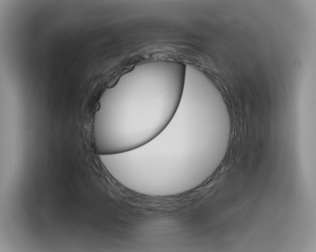 X0000114441109200910161046