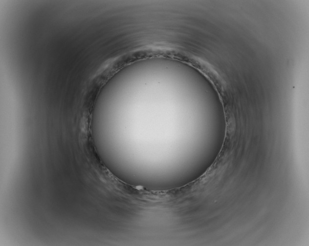 X0000114441110200910161046