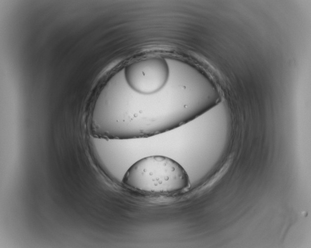 X0000114441113200910161046