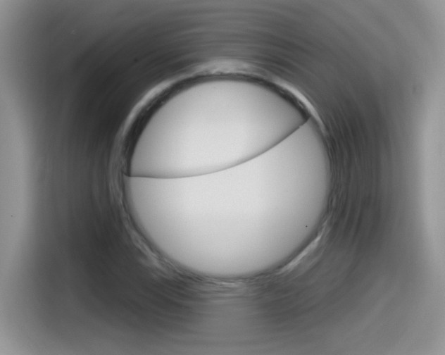 X0000114441115200910161046