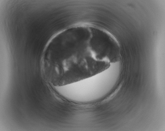 X0000114441117200910161046