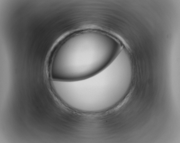 X0000114441118200910161046