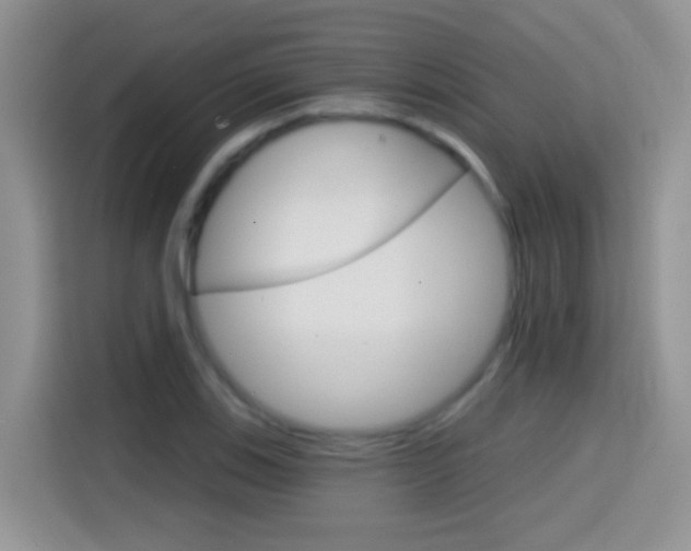 X0000114441123200910161046