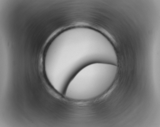 X0000114441126200910161047