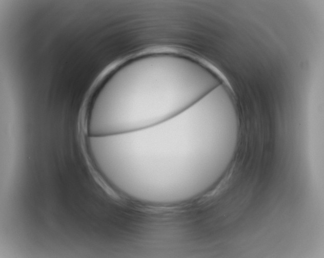 X0000114441127200910161047