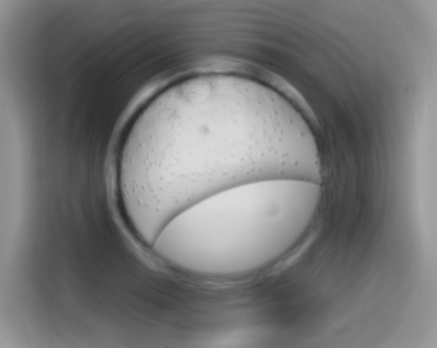 X0000114441130200910161047