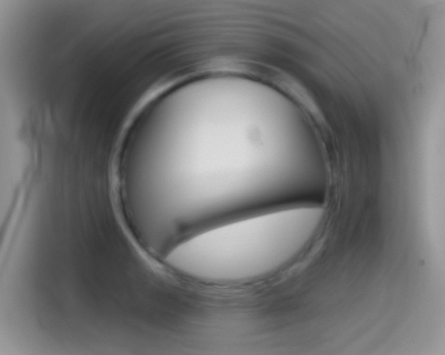 X0000114441133200910161047