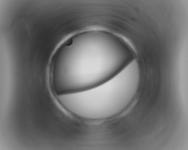 X0000114441134200910161047