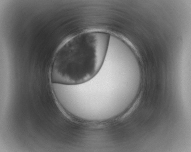 X0000114441137200910161047