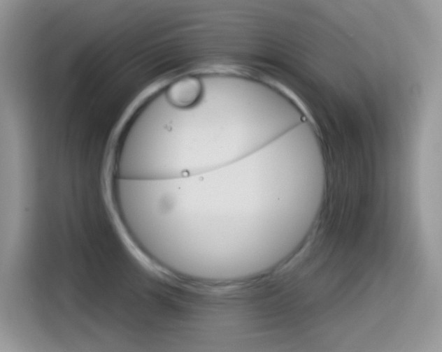 X0000114441139200910161047
