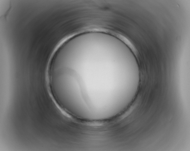 X0000114441141200910161047