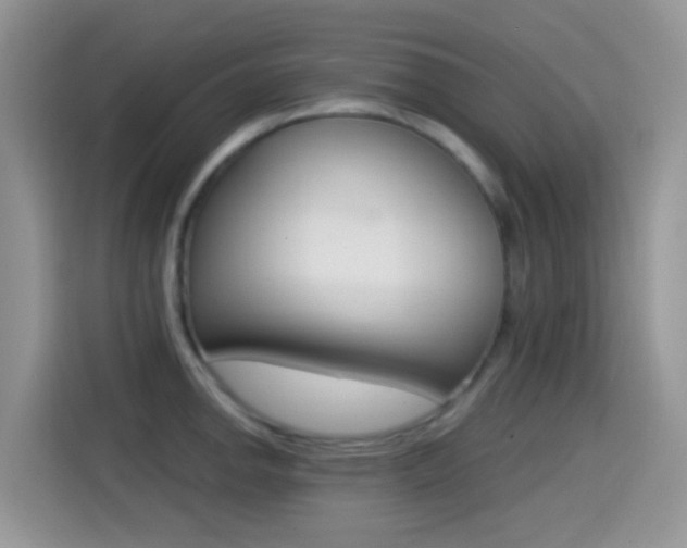 X0000114441142200910161047