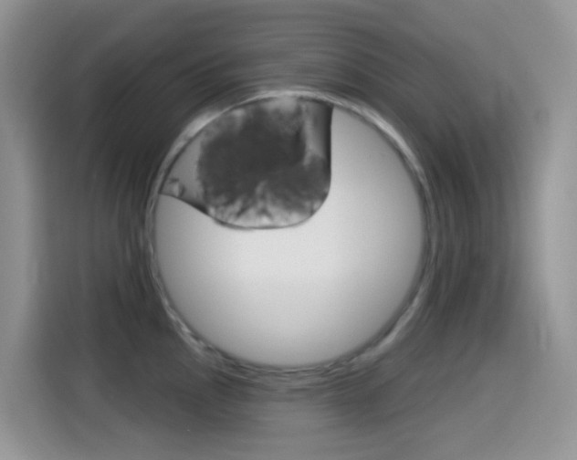 X0000114441145200910161047