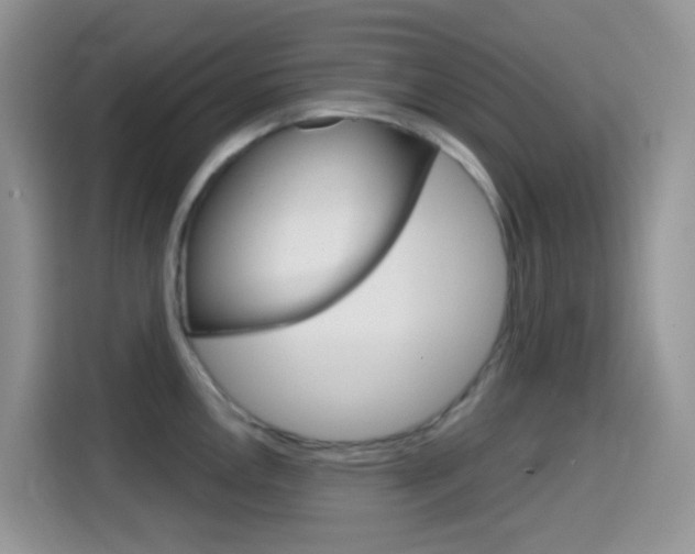 X0000114441146200910161047