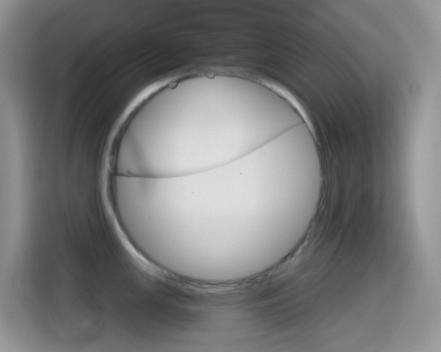 X0000114441147200910161047