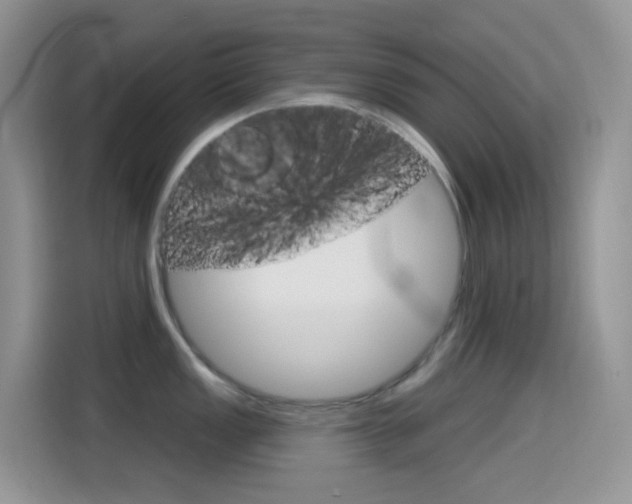 X0000114441149200910161047