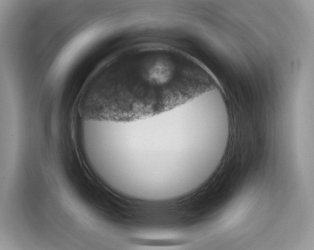X0000114441151200910161047
