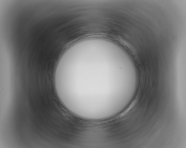 X0000114441161200910161046