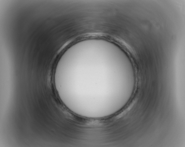 X0000114441162200910161046