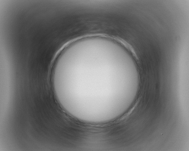 X0000114441167200910161046