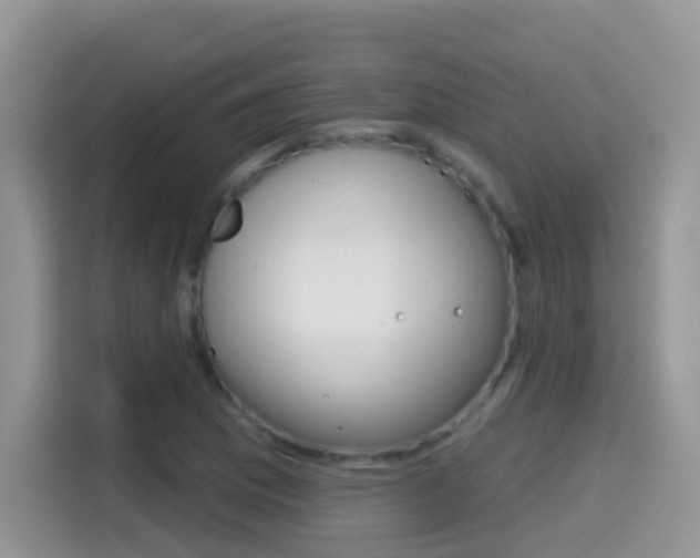 X0000114441169200910161046