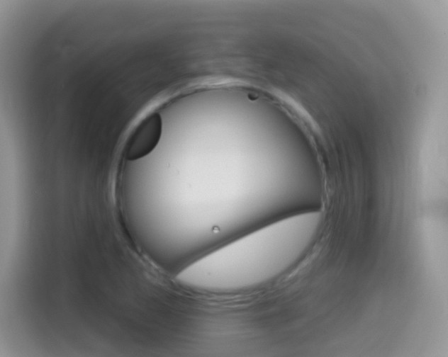 X0000114441173200910161046