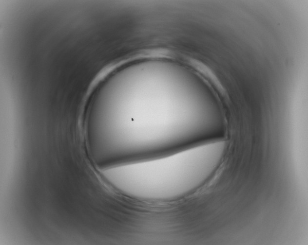 X0000114441176200910161046