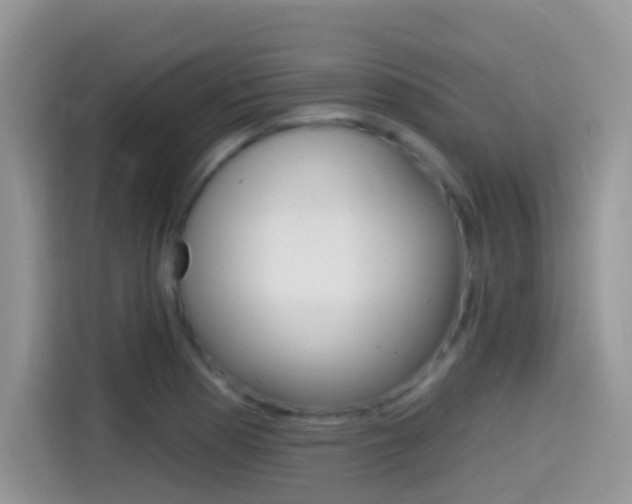 X0000114441177200910161046