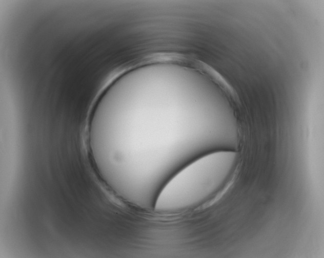X0000114441178200910161046