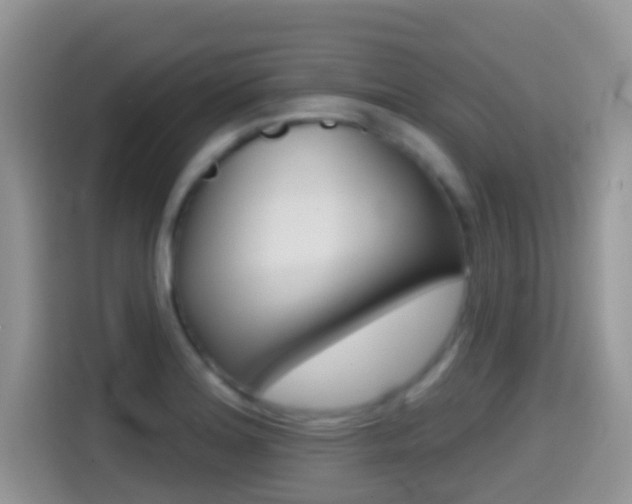 X0000114441180200910161046