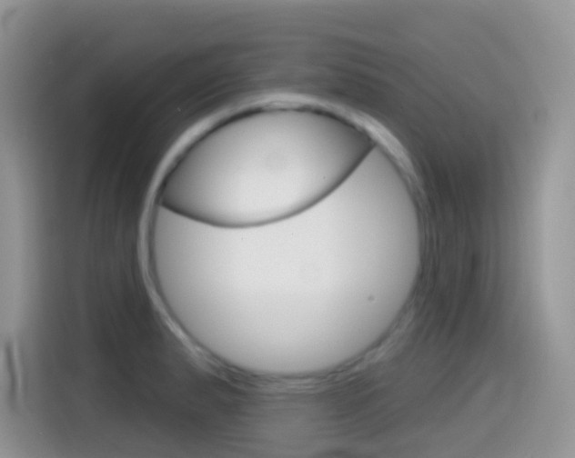 X0000114441183200910161046