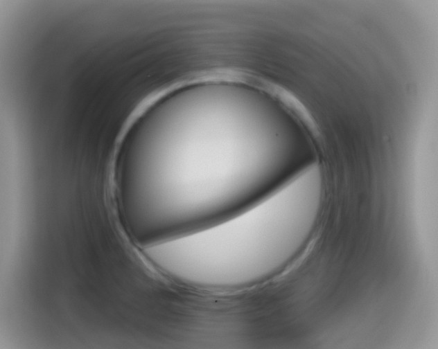 X0000114441184200910161046