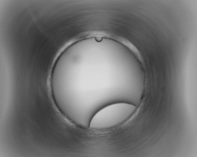 X0000114441190200910161046