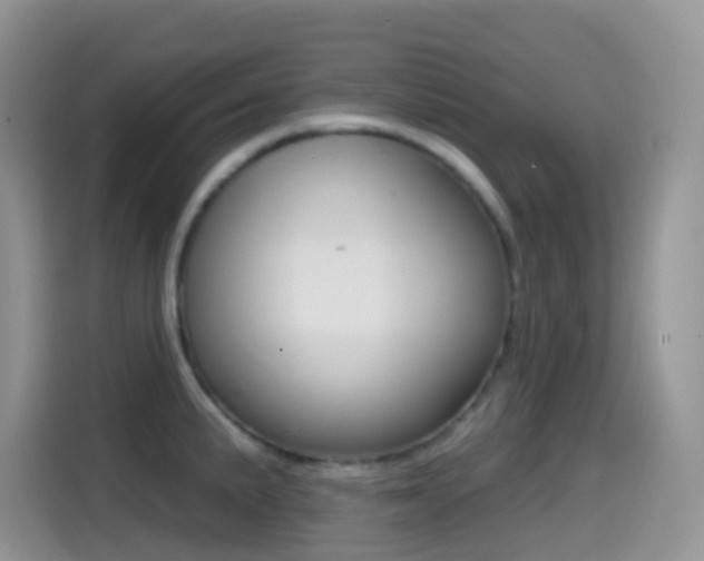 X0000114441191200910161046