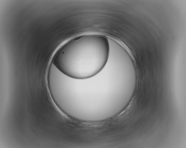 X0000114441197200910161046