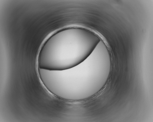 X0000114441199200910161046