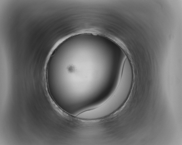 X0000114441200200910161046