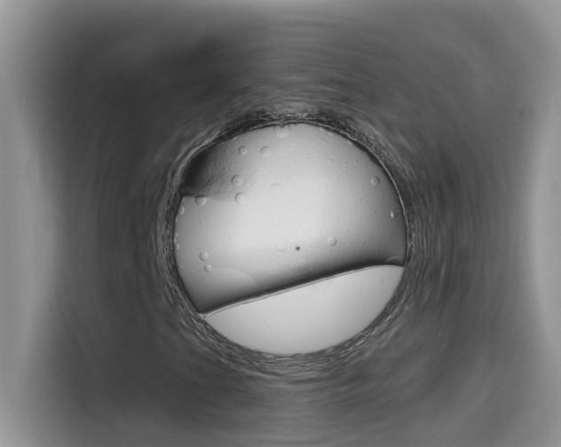 X0000114441201200910161045