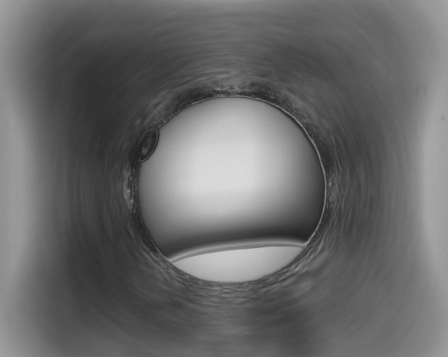 X0000114441202200910161045