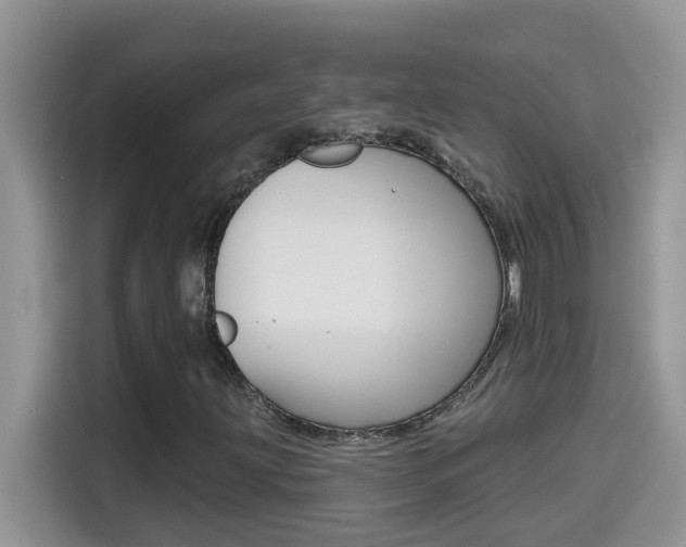 X0000114441203200910161045